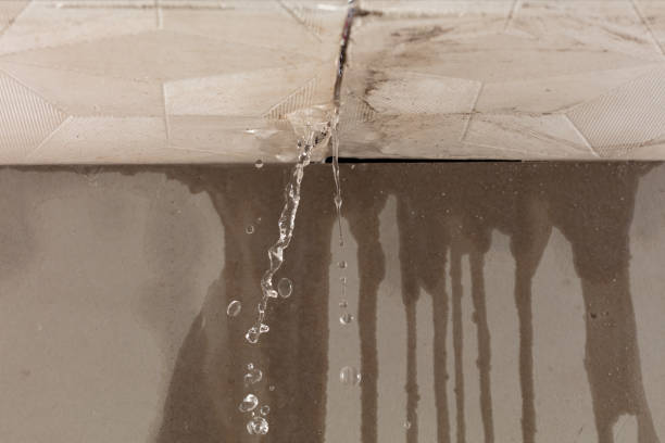 Professional Flood Damage Cleanup technician working in Orchard, TX